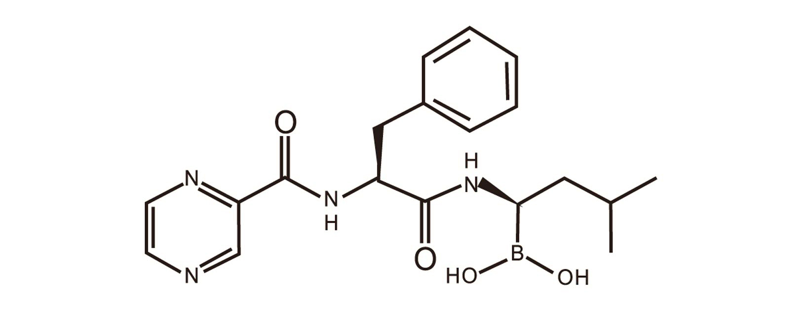 Bortezomib