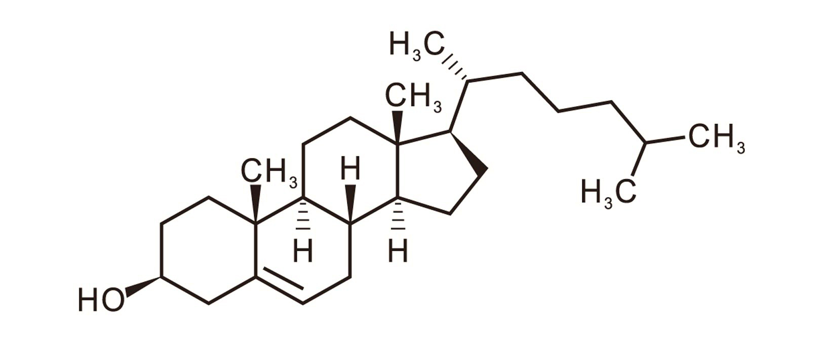 Cholesterol