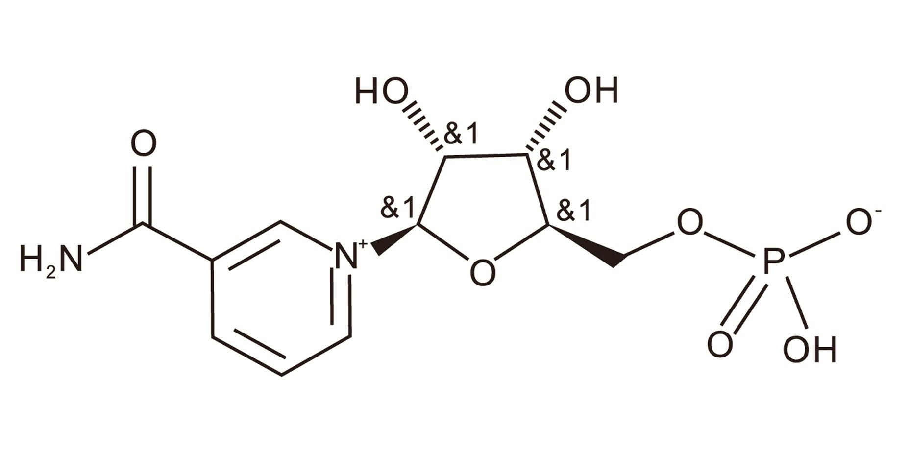β-烟酰胺单核苷酸