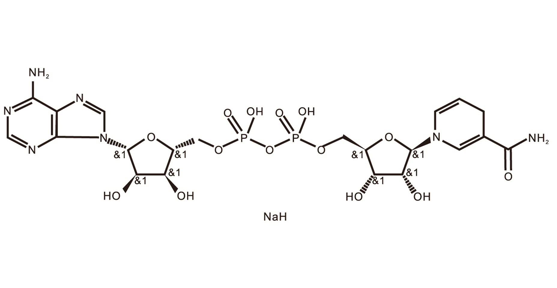 β-烟酰胺腺嘌呤二核苷酸二钠