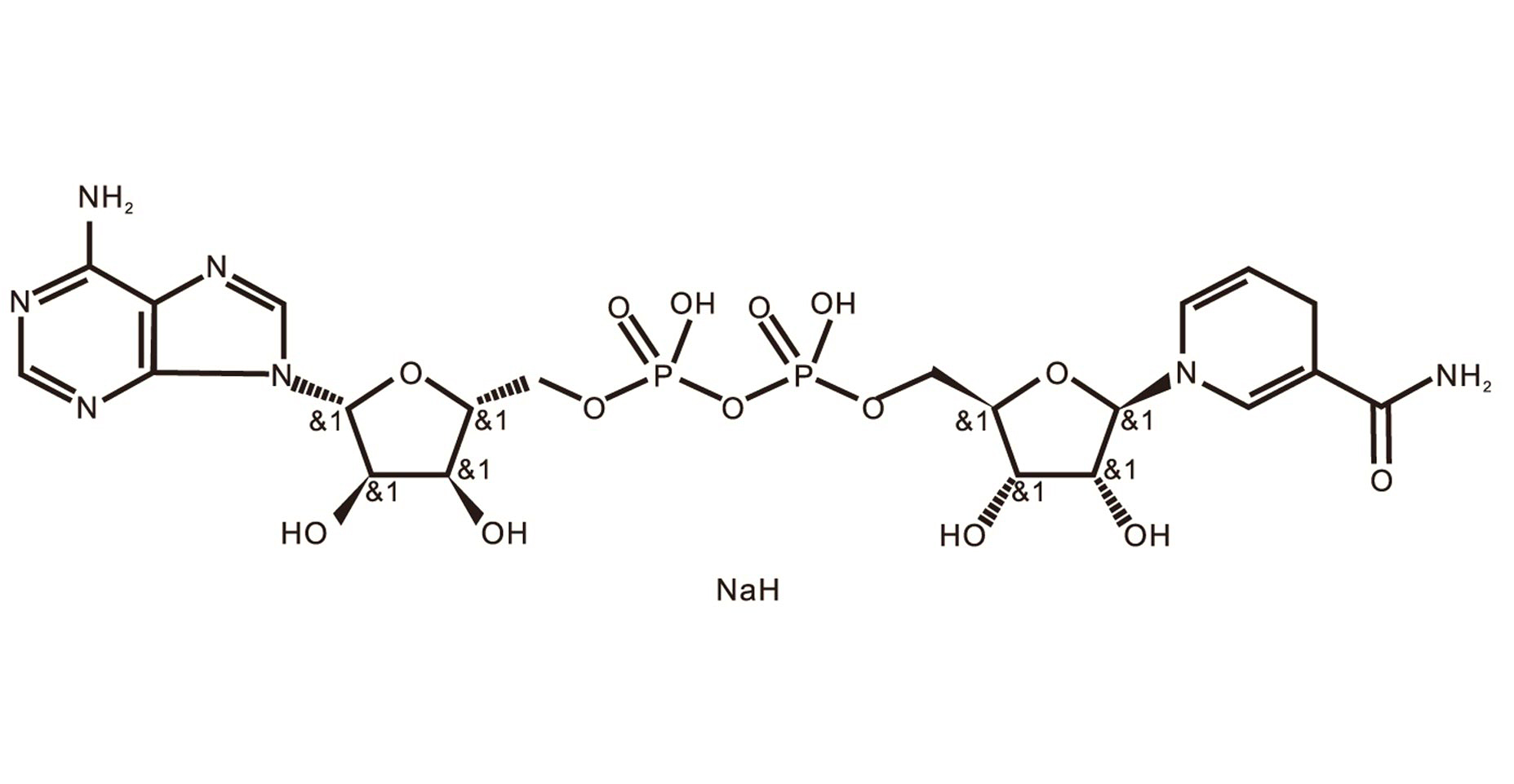 β -Nico t inam ide adenine dinuc leo t ide disod ium salt(NA