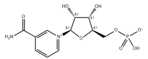β-Nicotinamide Mononucleotide
(NMN)